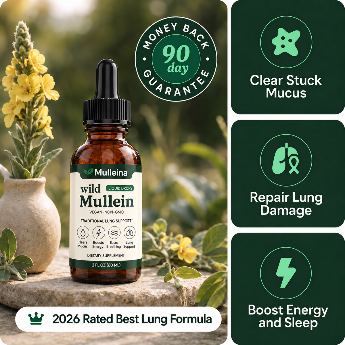 Mulleina - Mullein Drops