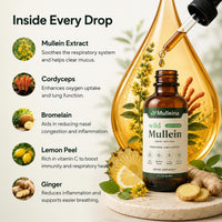 Mulleina - Mullein Drops 5