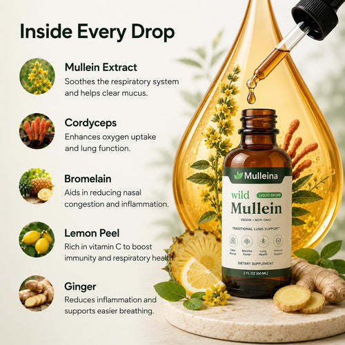 Mulleina - Mullein Drops