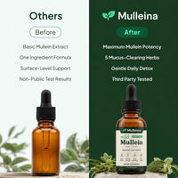 Mulleina - Mullein Drops 2