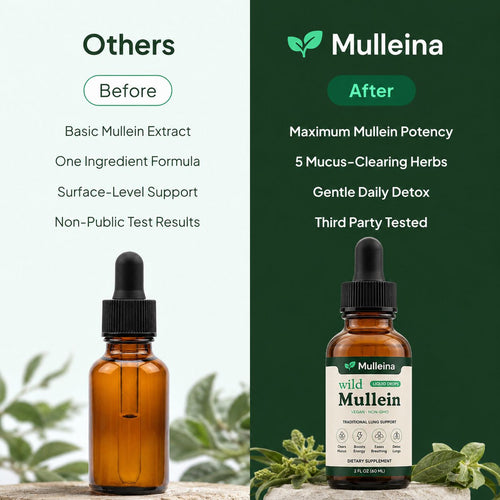 Mulleina - Mullein Drops
