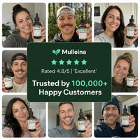 Mulleina - Mullein Drops 4
